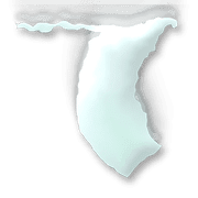019