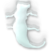 035