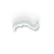 224