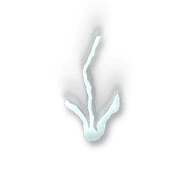 261