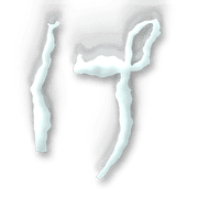 009