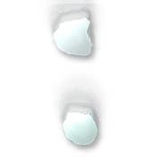 244
