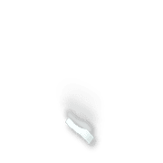 256