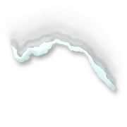 029