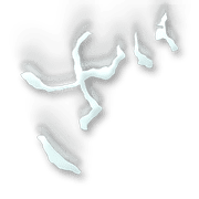061