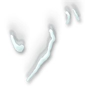145