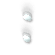 244