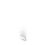 256