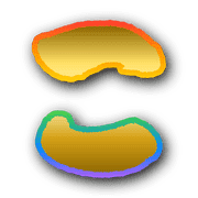010