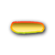 251