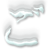 060