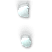 244