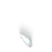 256