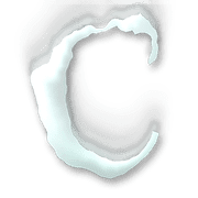 164