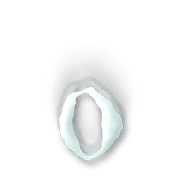 202