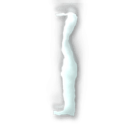 241