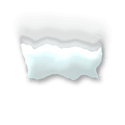 251
