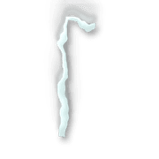 254