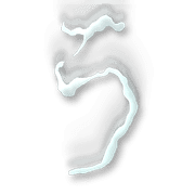 003
