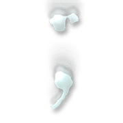 243