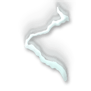 008