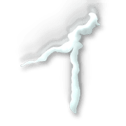 082