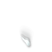 256