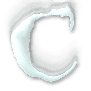 164