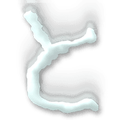 020