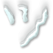 098
