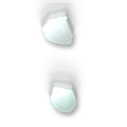 244