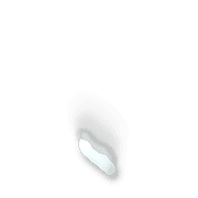 256