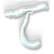 019