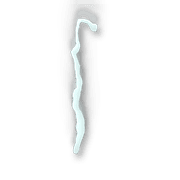 254