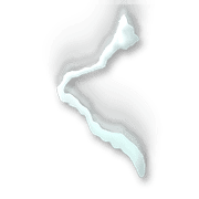 008