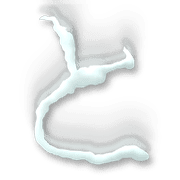 020
