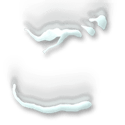 060