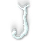 171