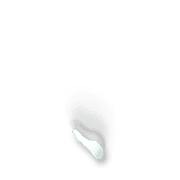 256
