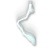 008