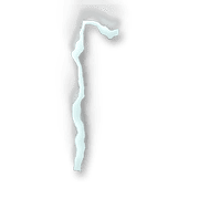 254