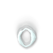 202