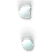 244