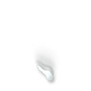 256