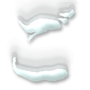 060