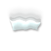 251