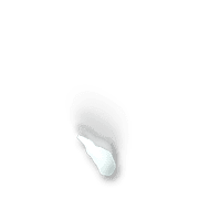256