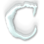 164