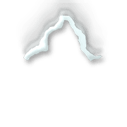 231