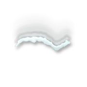 224
